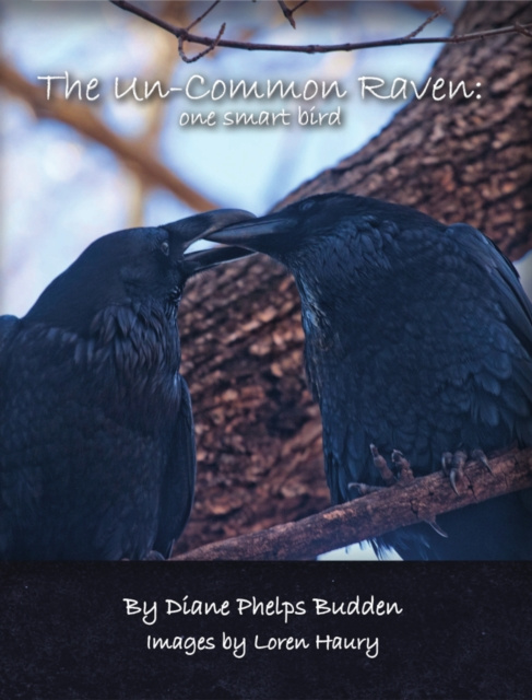 E-knjiga Un-Common Raven: One Smart Bird Diane Phelps Budden