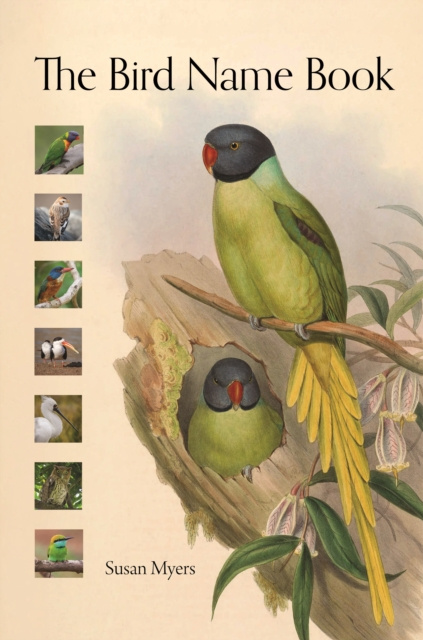 E-knjiga Bird Name Book Susan Myers