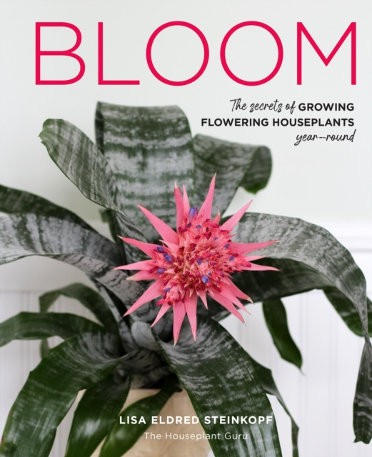 E-kniha Bloom Lisa Eldred Steinkopf