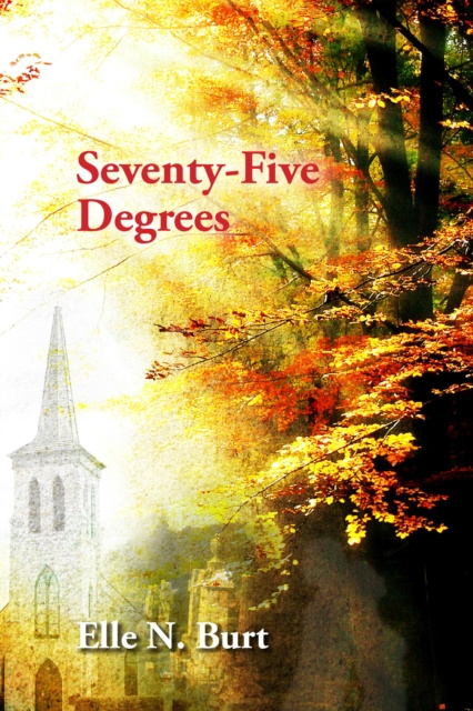 E-knjiga Seventy-Five Degrees Elle N. Burt