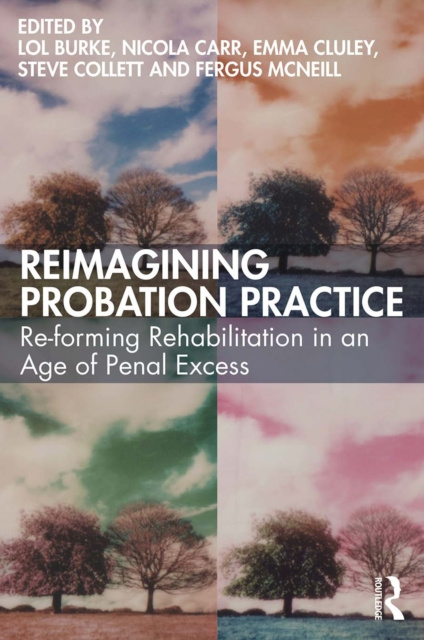 E-book Reimagining Probation Practice Lol Burke