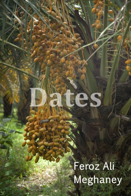 E-knjiga Dates Feroz Ali Meghaney