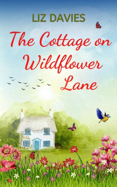 E-knjiga Cottage on Wildflower Lane Liz Davies