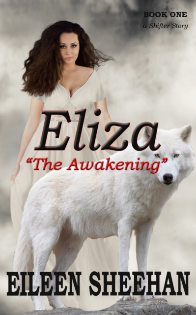 E-kniha Eliza: The Awakening Eileen Sheehan