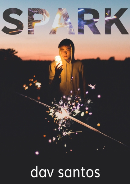 E-knjiga Spark Dav Santos