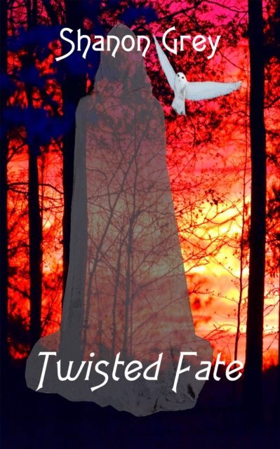 E-book Twisted Fate Shanon Grey