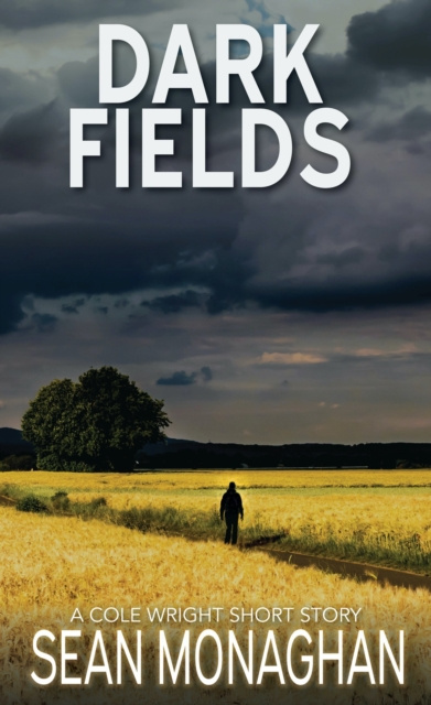 E-knjiga Dark Fields Sean Monaghan