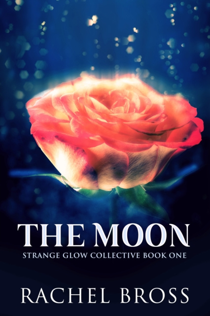 E-knjiga Moon Rachel Bross