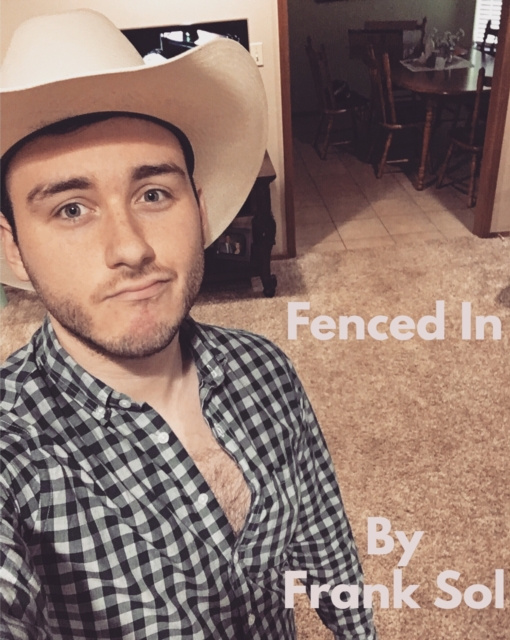 E-knjiga Fenced in Frank Sol