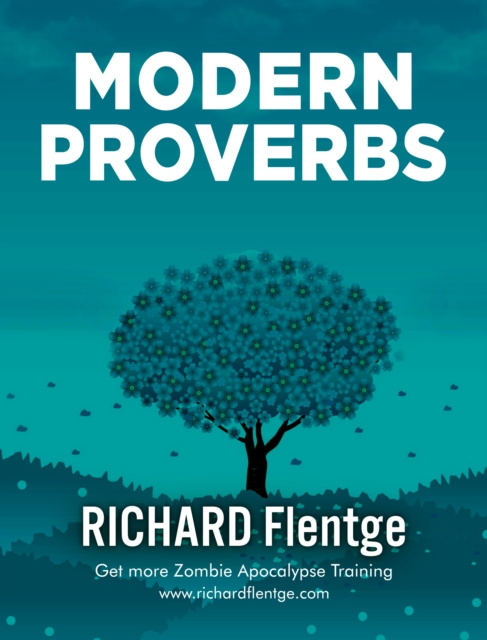 E-knjiga Modern Proverbs Richard Flentge