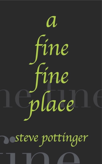 E-book Fine Fine Place Steve Pottinger
