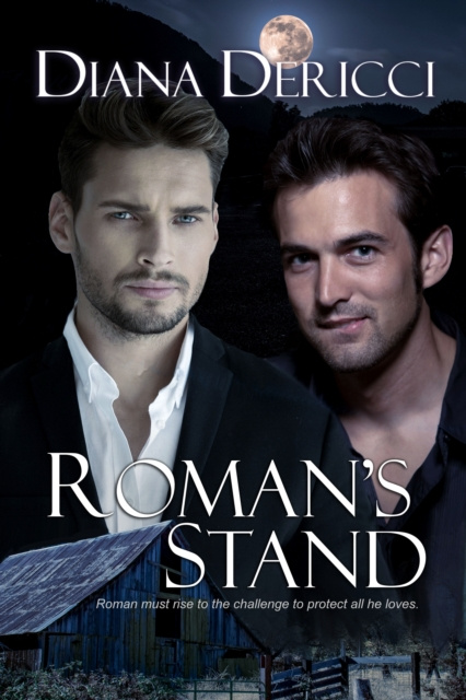 E-knjiga Roman's Stand Diana DeRicci