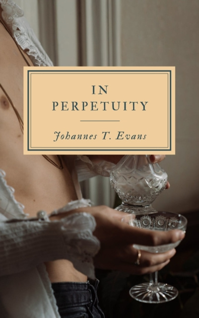 E-Book In Perpetuity Johannes T. Evans