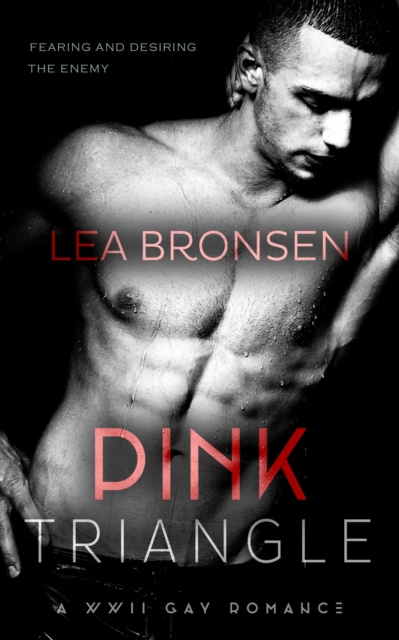 E-book Pink Triangle Lea Bronsen