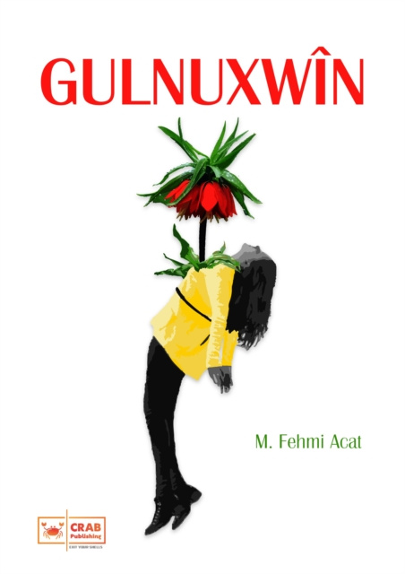 E-kniha Gulnuxwin M. Fehmi Acat