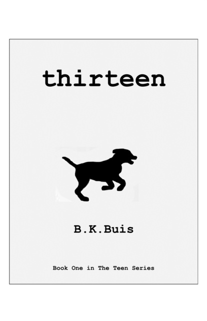 E-knjiga Thirteen B K Buis