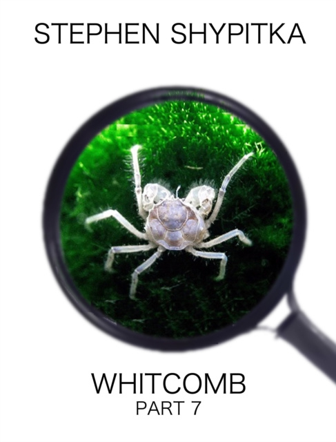E-knjiga Whitcomb Part 7 Stephen Shypitka