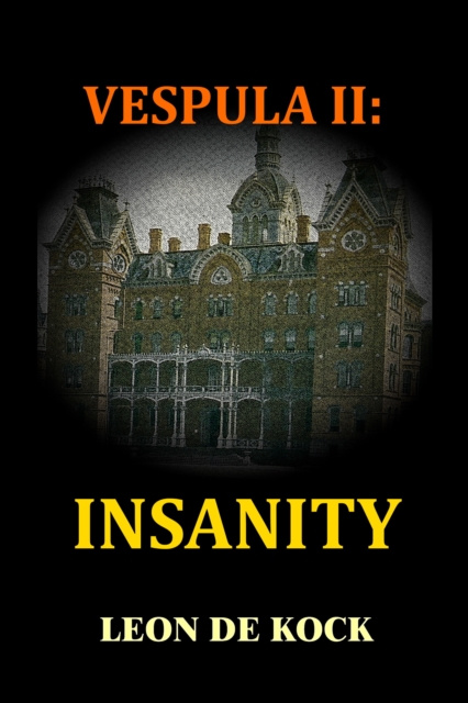 E-book Insanity Leon De Kock