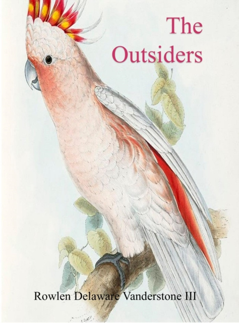 E-knjiga Outsiders Rowlen Delaware Vanderstone III