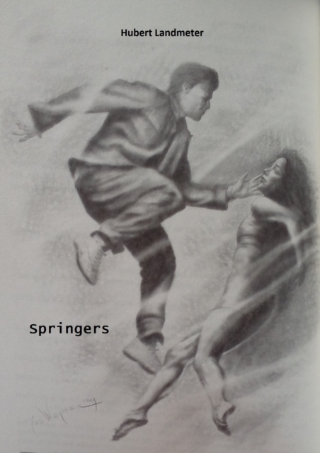 E-kniha Springers Hubert Landmeter