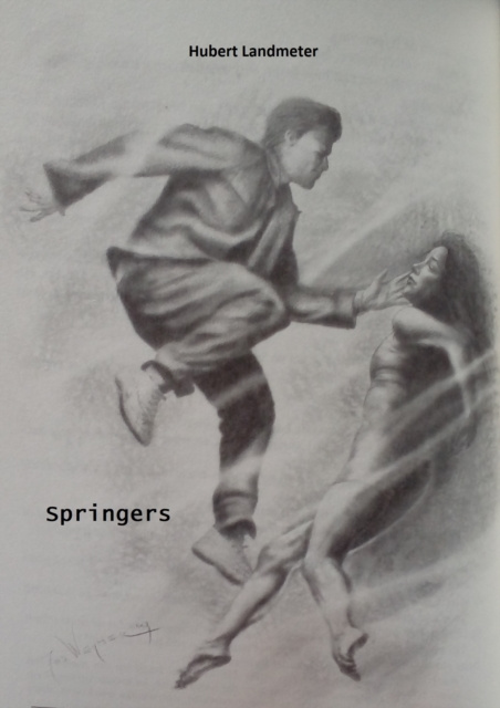 E-Book Springers Hubert Landmeter