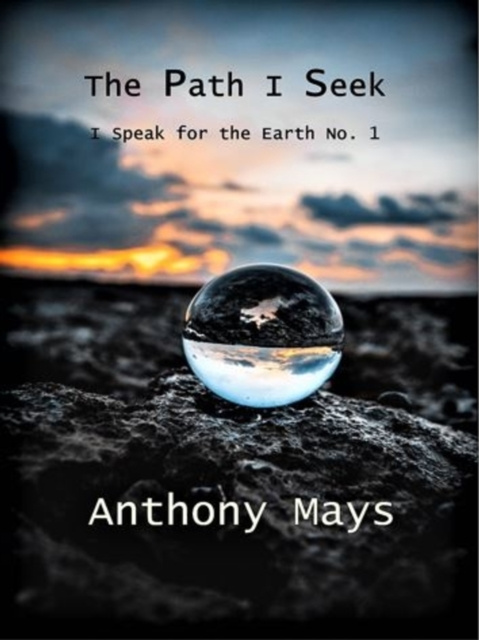 E-knjiga Path I Seek Anthony Mays