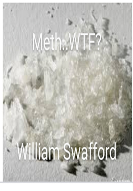 E-knjiga Meth...Wtf? William Swafford