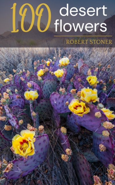 E-book 100 Desert Flowers Robert Stoner