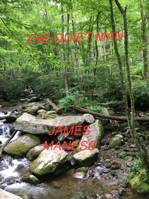 E-kniha Quiet Man James Maness