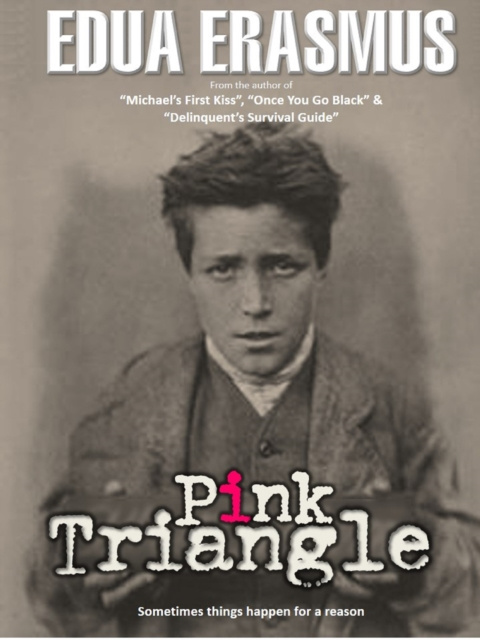 E-knjiga Pink Triangle Edua Erasmus