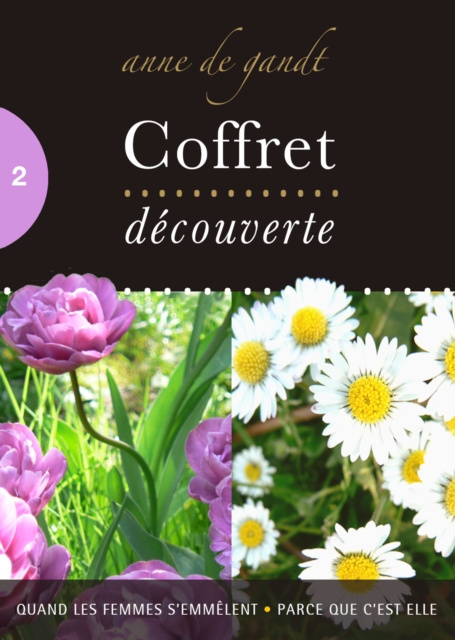 E-kniha Coffret decouverte n(deg)2 Anne de Gandt