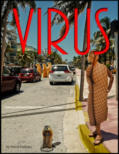 E-knjiga Virus David Halliday