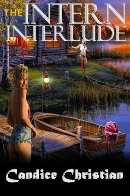 E-knjiga Intern Interlude Candice Christian