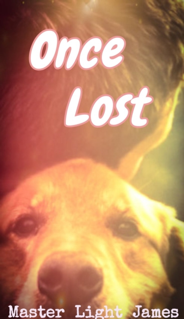 E-knjiga Once Lost Master Light James