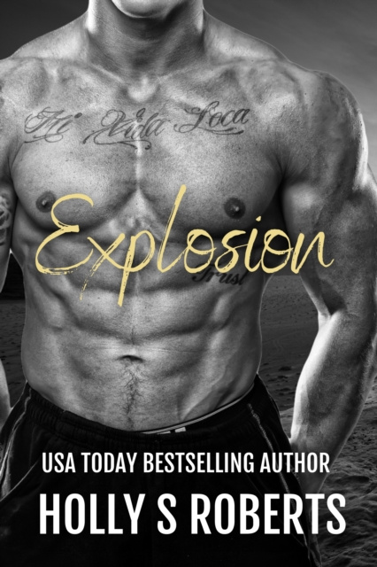 E-knjiga Explosion Holly S. Roberts