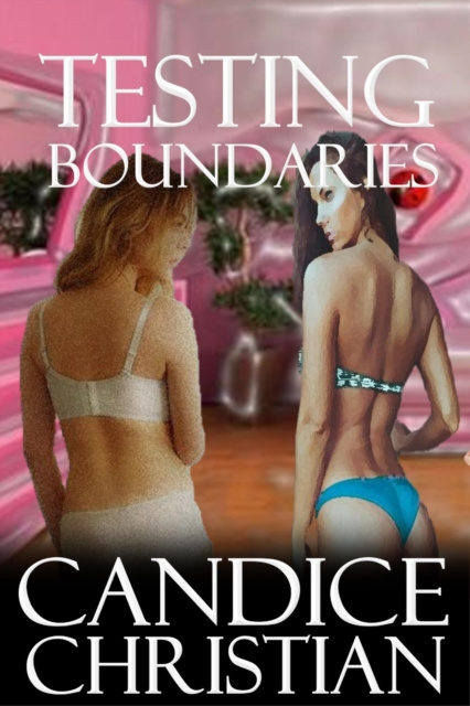 E-knjiga Testing Boundaries Candice Christian