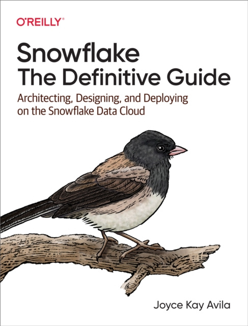 E-book Snowflake: The Definitive Guide Joyce Kay Avila
