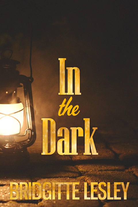 E-book In the Dark Bridgitte Lesley