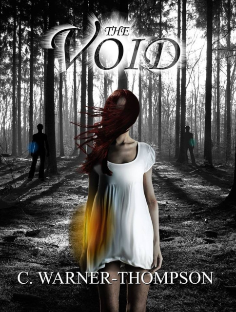 E-knjiga Void C. Warner-Thompson