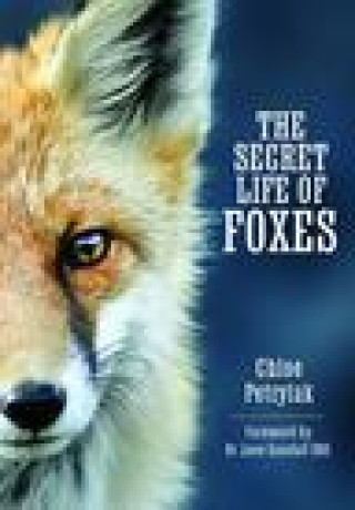 Kniha Secret Life of Foxes Chloe Petrylak