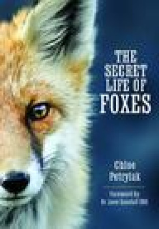 Book Secret Life of Foxes Chloe Petrylak