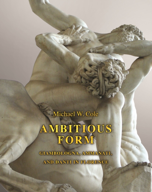 E-knjiga Ambitious Form Michael W. Cole