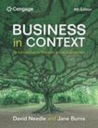 Buch Business in Context David Needle