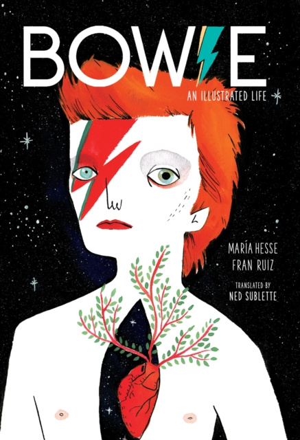 E-kniha Bowie Maria Hesse