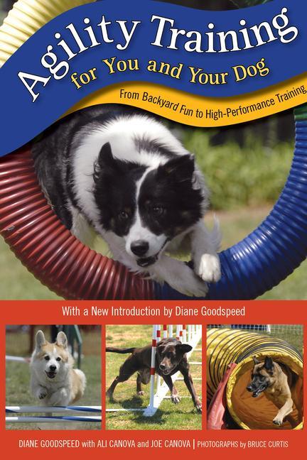 Książka Agility Training for You and Your Dog Ali Canova