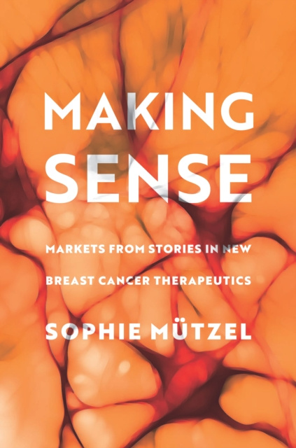 E-knjiga Making Sense Sophie Mutzel