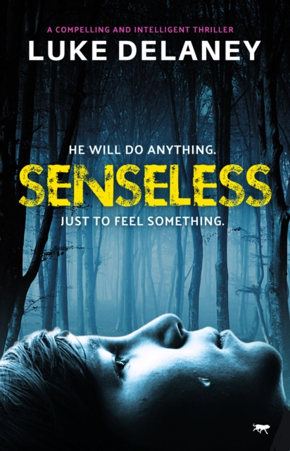 E-book Senseless Luke Delaney