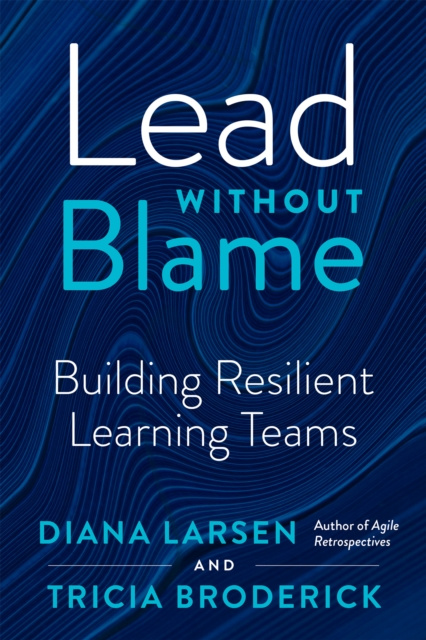 E-knjiga Lead Without Blame Diana Larsen