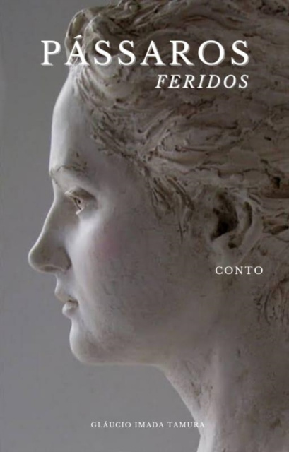 E-book Passaros Feridos Glaucio Imada Tamura