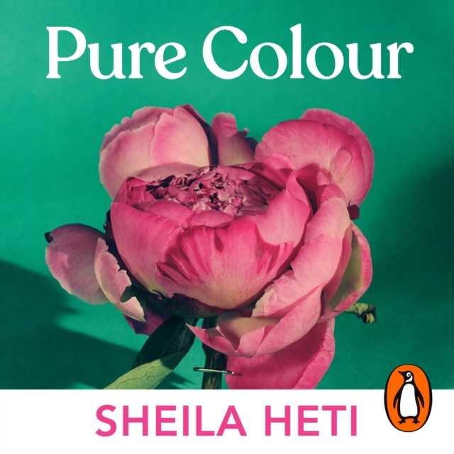 Audiobook Pure Colour Sheila Heti